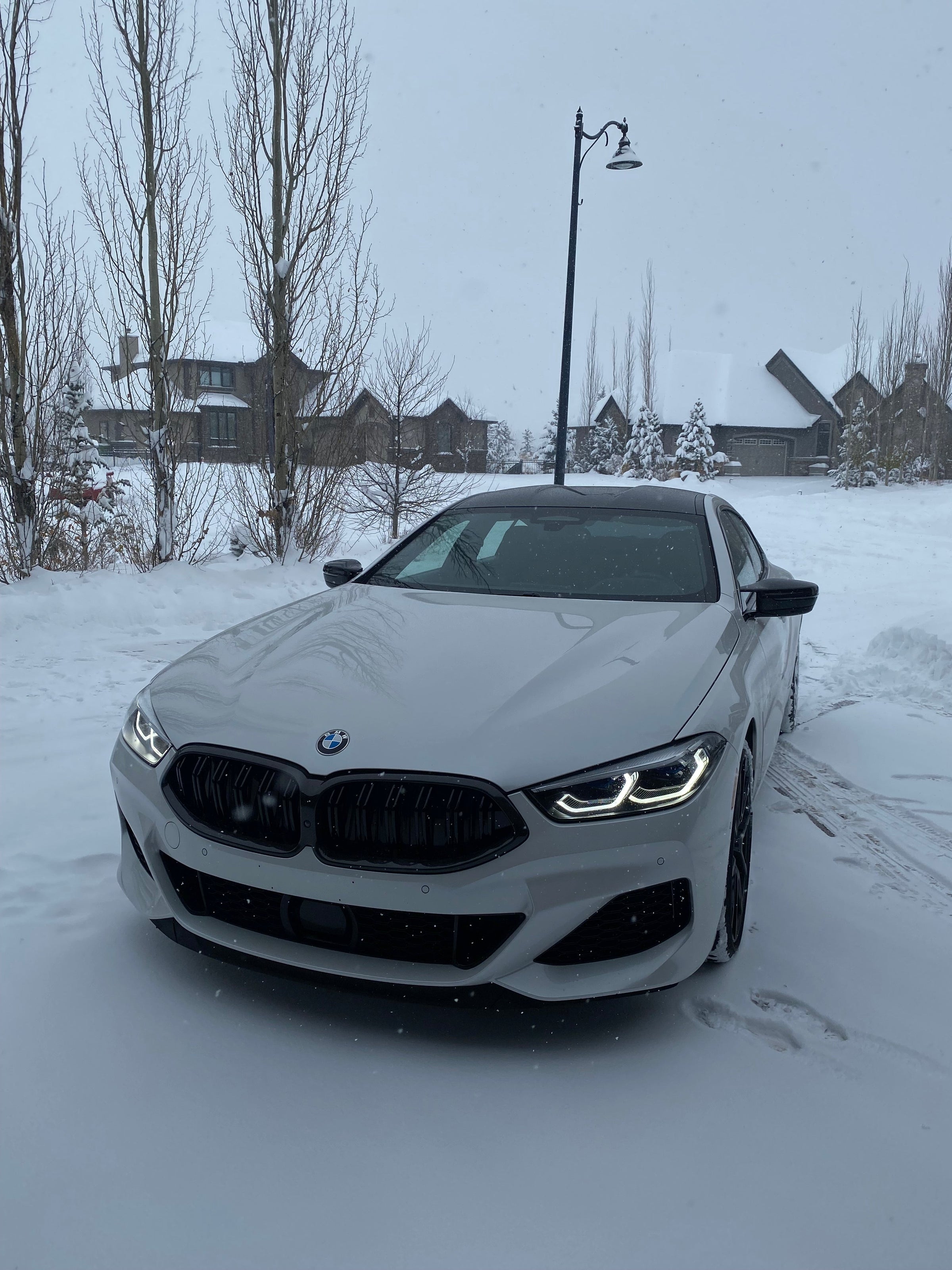 BMW 8 Series Front Aesthetic