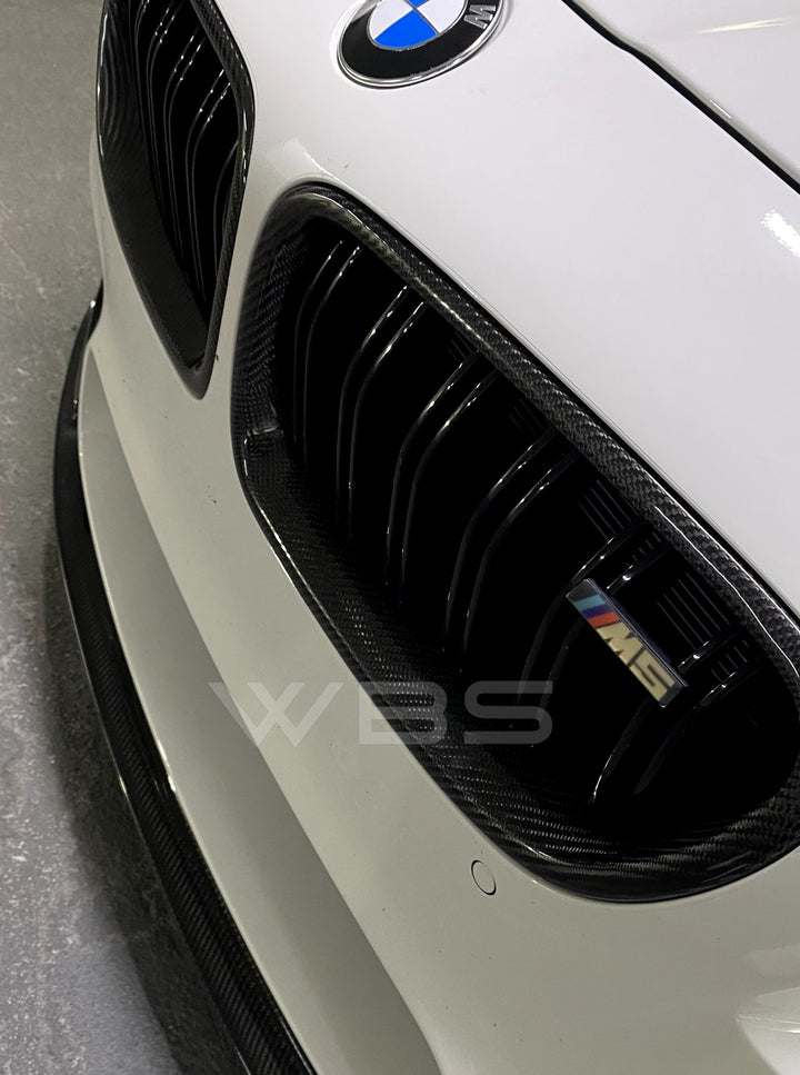BMW F10 FRONT GRILLS DUAL SLATS STYLE GENUINE CARBON FIBER