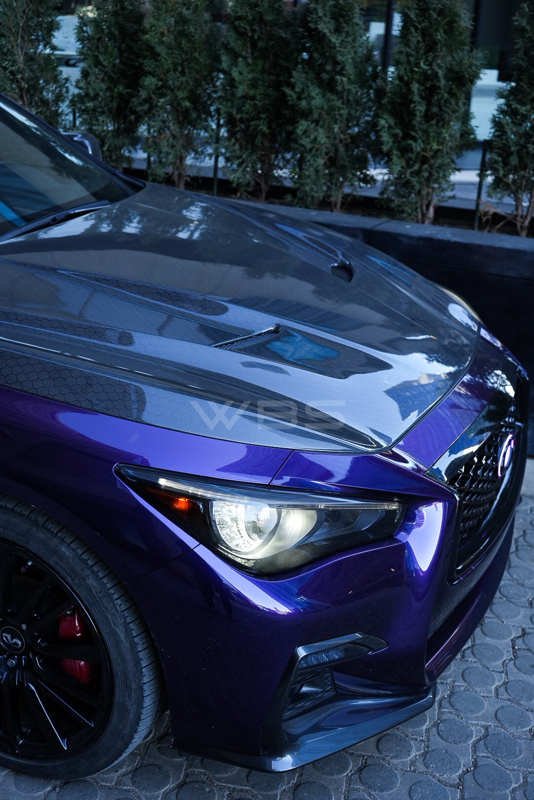 INFINITI Q50 SV STYLE GENUINE CARBON FIBER HOOD