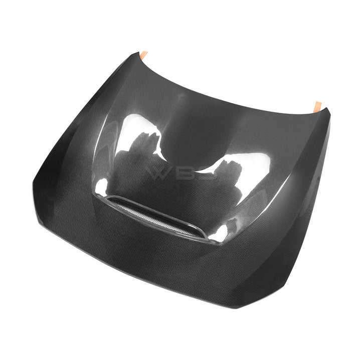 BMW F87 M2 GTS HOOD GENUINE CARBON FIBER