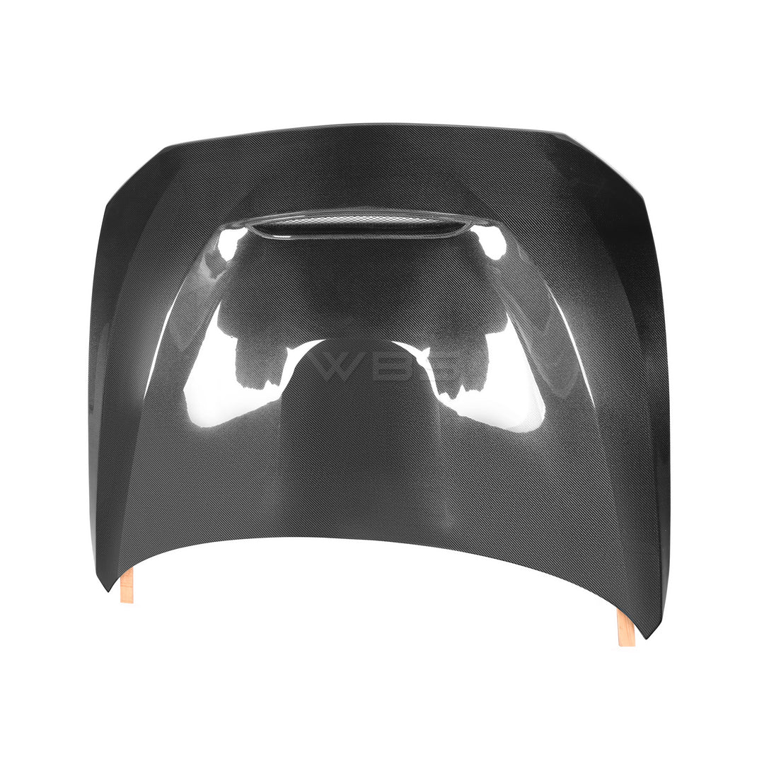 BMW F87 M2 GTS HOOD GENUINE CARBON FIBER