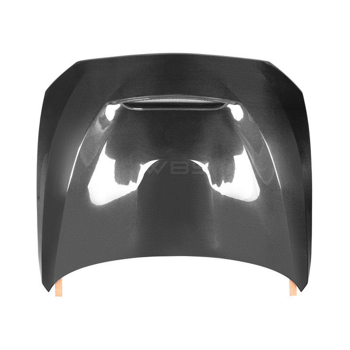 BMW F87 M2 GTS HOOD GENUINE CARBON FIBER