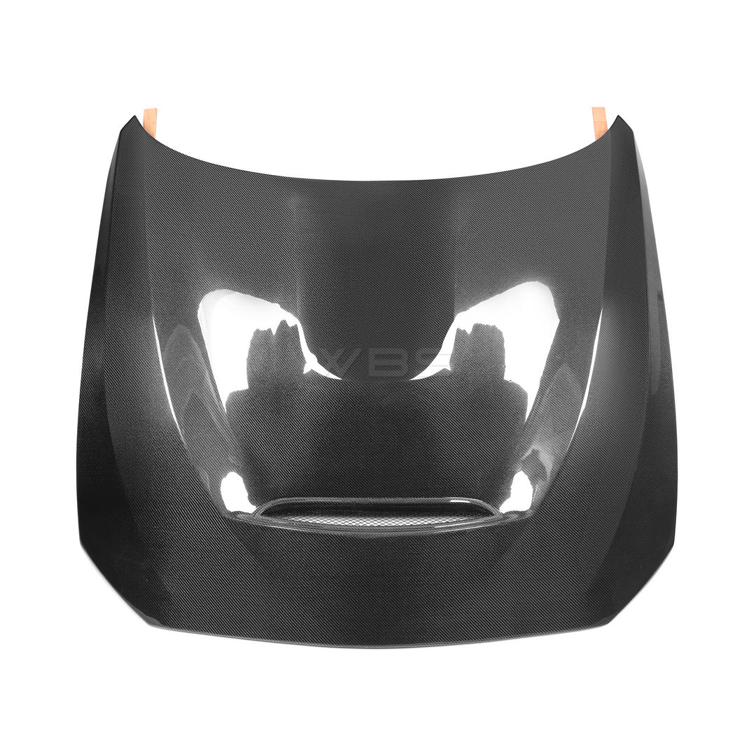 BMW F87 M2 GTS HOOD GENUINE CARBON FIBER