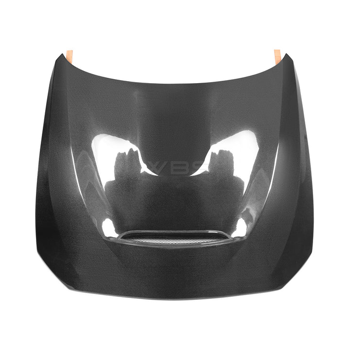 BMW F87 M2 GTS HOOD GENUINE CARBON FIBER