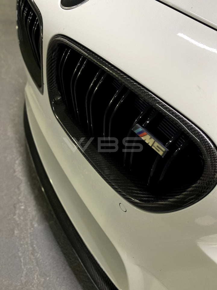 BMW F10 FRONT GRILLS DUAL SLATS STYLE GENUINE CARBON FIBER