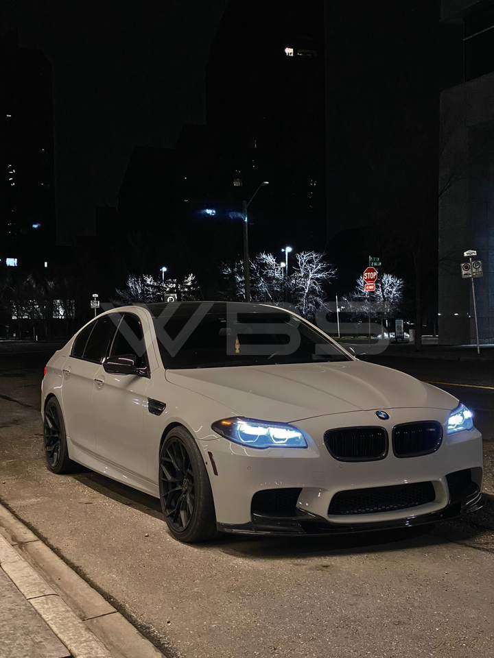 BMW F10 FRONT GRILLS DUAL SLATS STYLE GENUINE CARBON FIBER