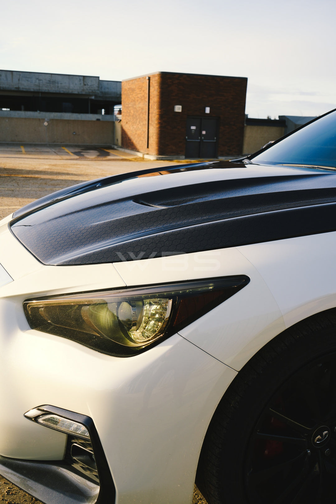 INFINITI Q50 SV STYLE GENUINE CARBON FIBER HOOD