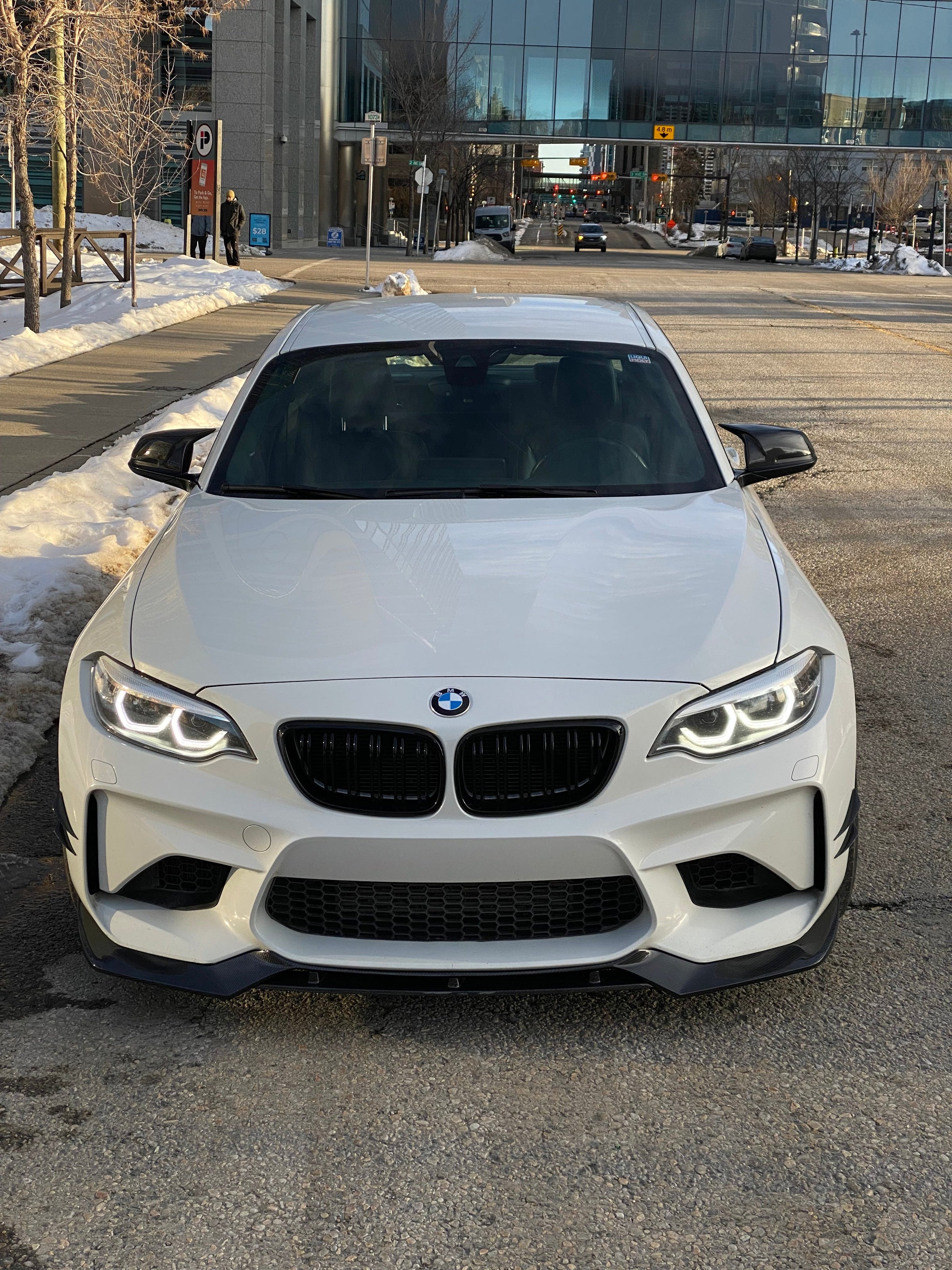 BMW F87 M2 Front Aesthetic