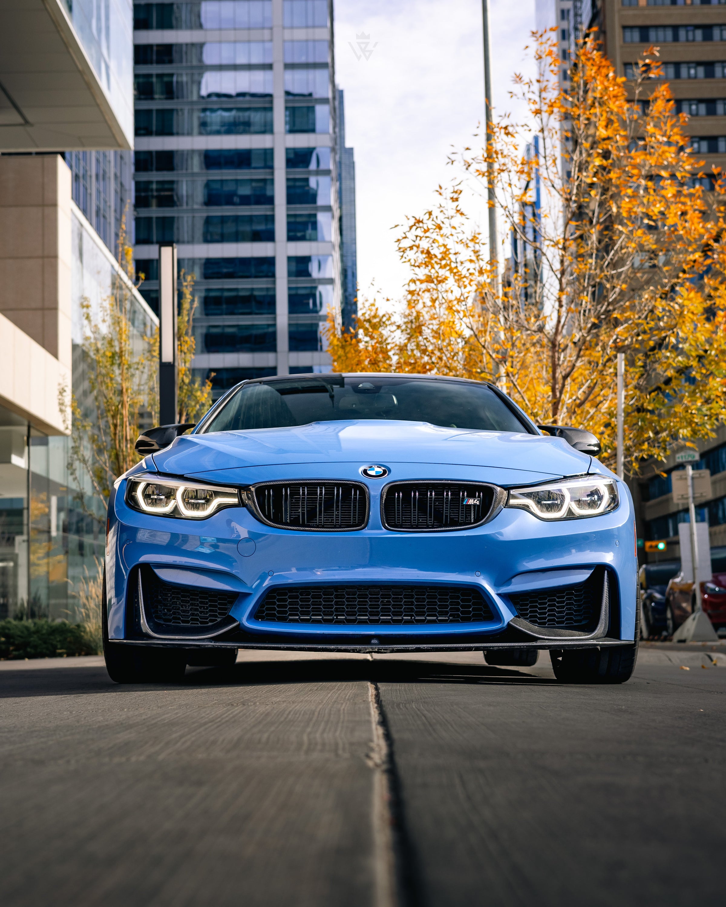 BMW F82 F83 Front Aesthetic