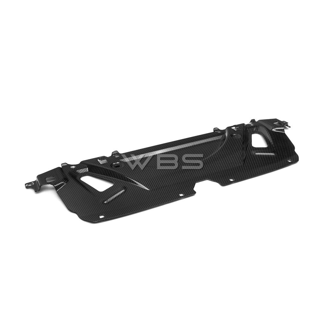 WBS - BMW G90 M5 WATER TANK REPLACEMENT GENUINE CARBON FIBER