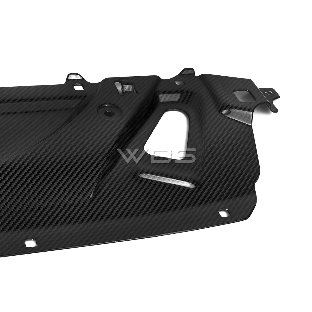 WBS - BMW G90 M5 WATER TANK REPLACEMENT GENUINE CARBON FIBER