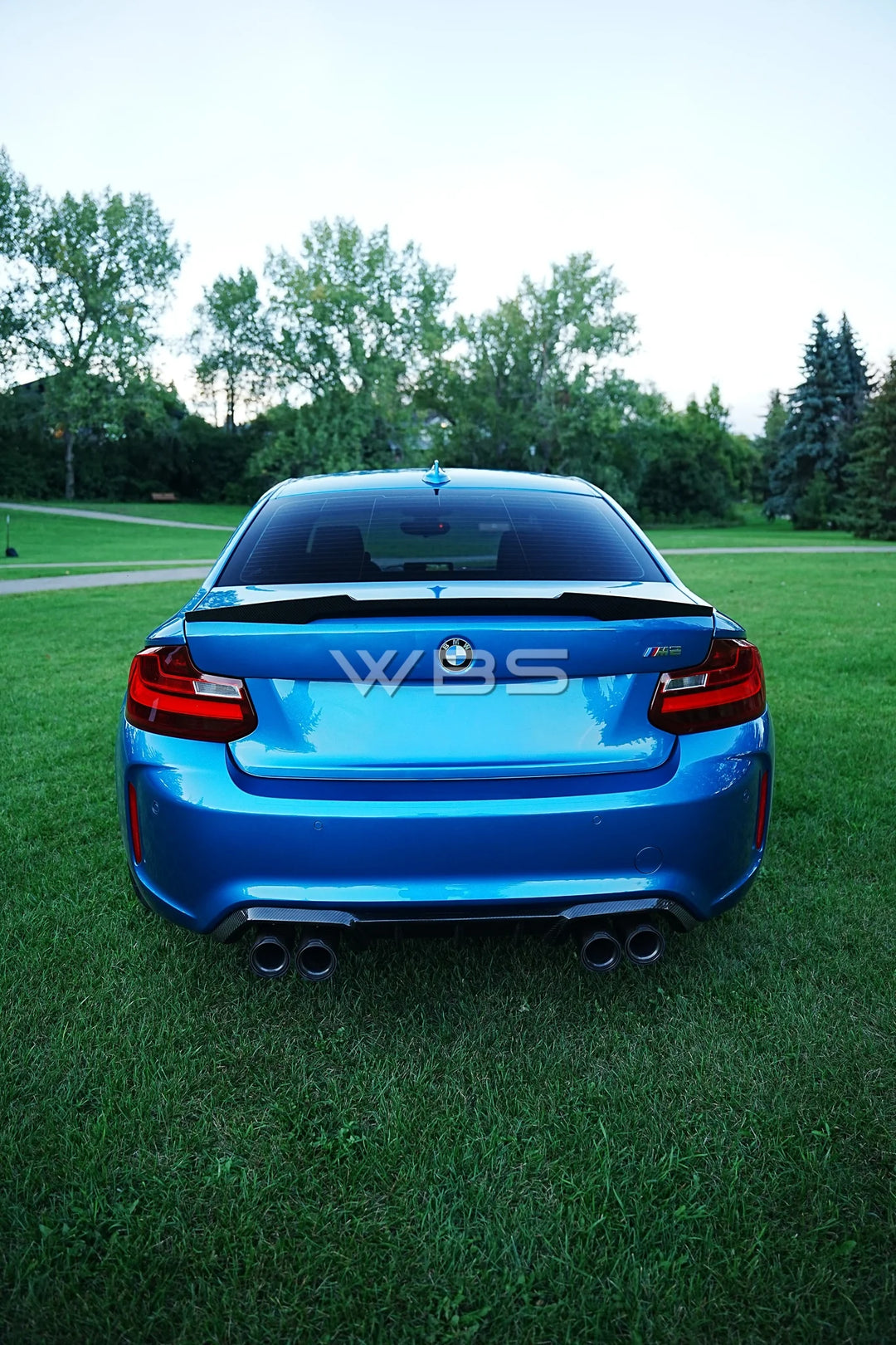 BMW F87 M2 M-PERFORMANCE DIFFUSER GENUINE CARBON FIBER