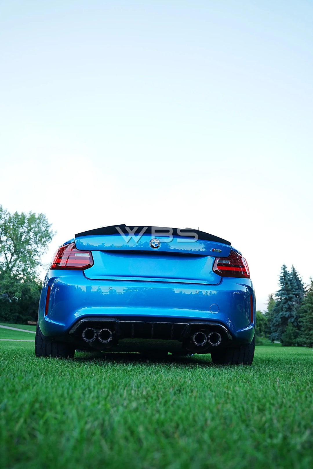 BMW F87 M2 M-PERFORMANCE DIFFUSER GENUINE CARBON FIBER