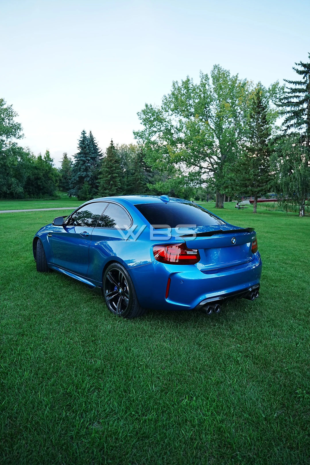 BMW F87 M2 M-PERFORMANCE SIDE SKIRT EXTENSIONS GENUINE CARBON FIBER
