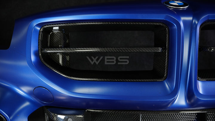 BMW G87 M2 CSL/ MP STYLES FRONT GRILLE GENUINE PURE CARBON FIBER
