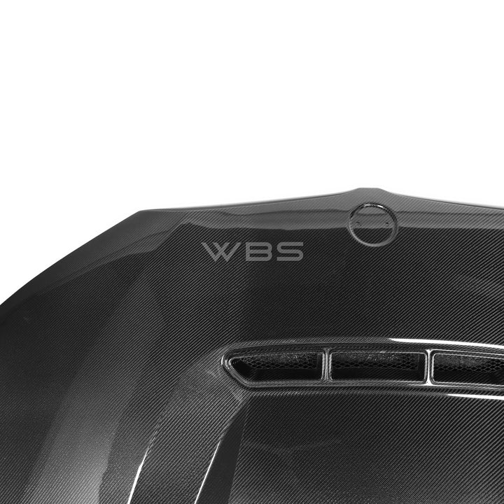 BMW G20 3 SERIES CS-STYLE HOOD GENUINE CARBON FIBER