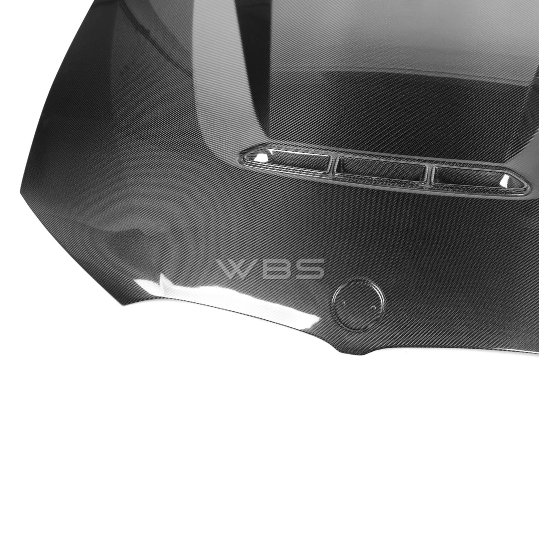BMW G20 3 SERIES CS-STYLE HOOD GENUINE CARBON FIBER