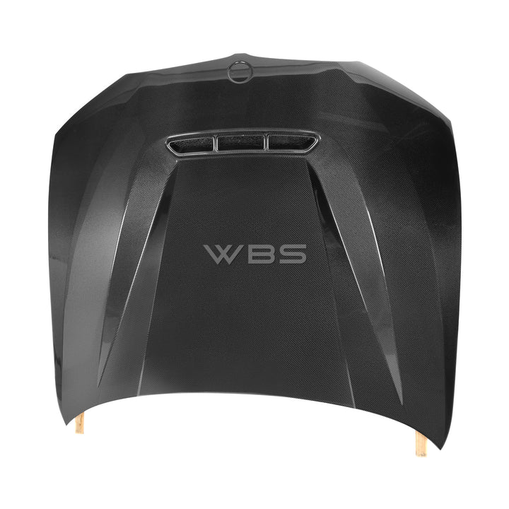 BMW G20 3 SERIES CS-STYLE HOOD GENUINE CARBON FIBER