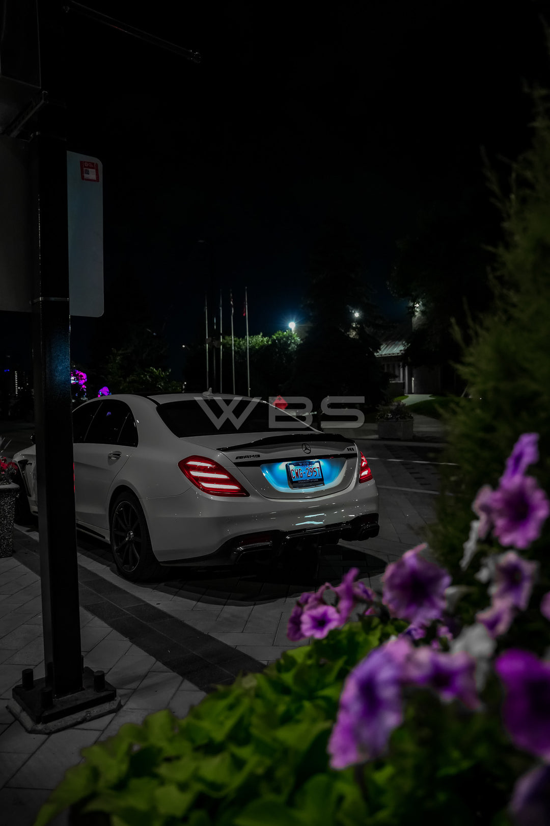 MERCEDES W222 S63/ S CLASS PSM SPOILER GENUINE CARBON FIBER